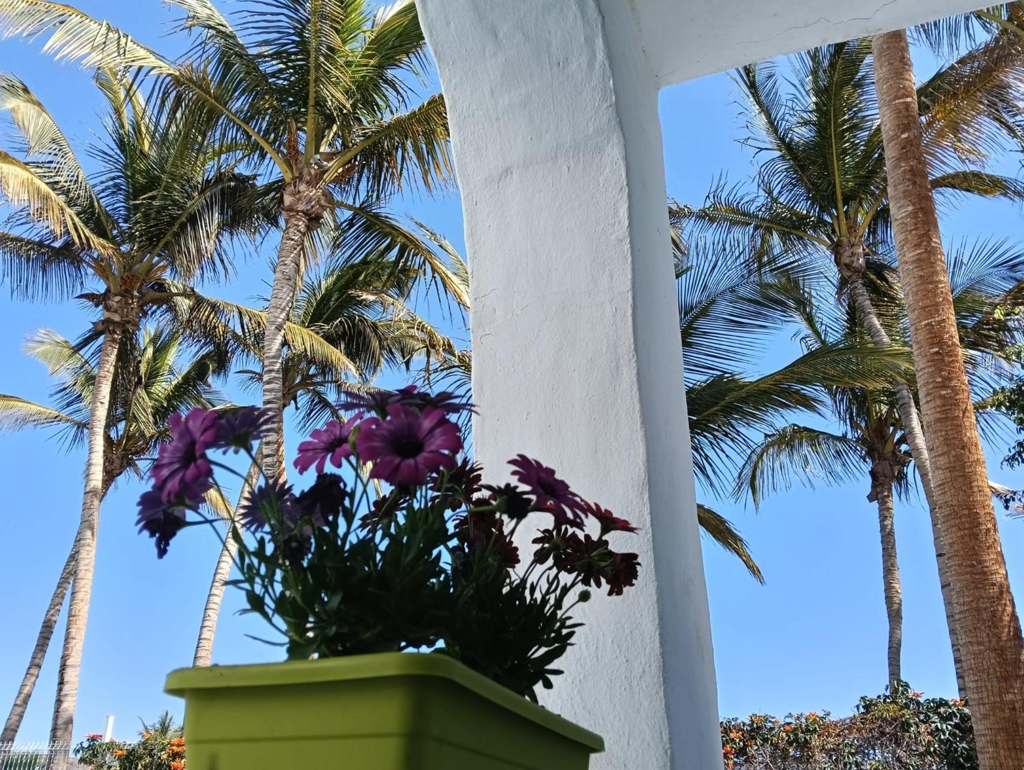 Appartamento Las Palmas Tarajalejo Buitenkant foto