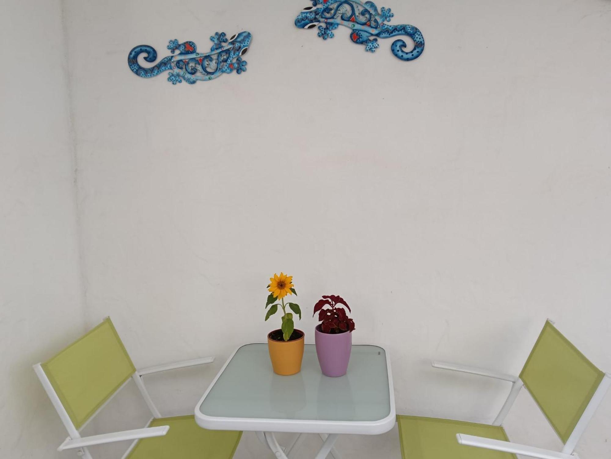 Appartamento Las Palmas Tarajalejo Buitenkant foto